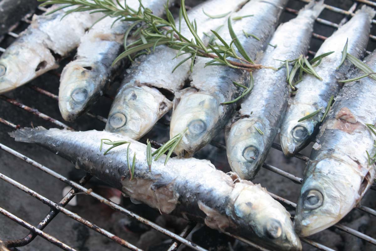 sardines-01