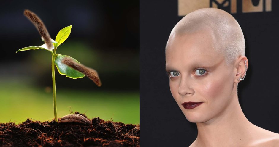 Cara Delevingne sans cheveux ni sourcils | Photos : billygraham.org / Bestimage